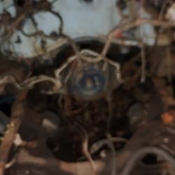 Chevy / GM Turbo 350 Transmission 