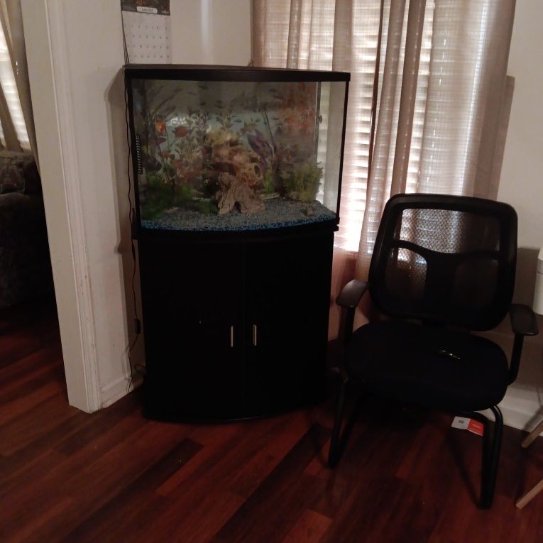 Fish Tank ,Stand, Extra