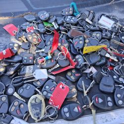 Over 55 Car Remotes Controls