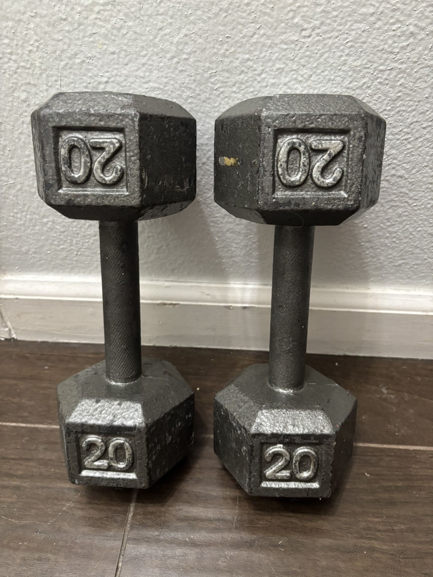 20 lb. Dumbbells, Pair