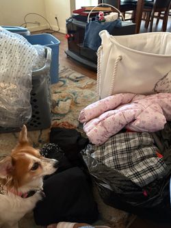 Free woman’s xl clothes, some men’s, and girl baby jacket.