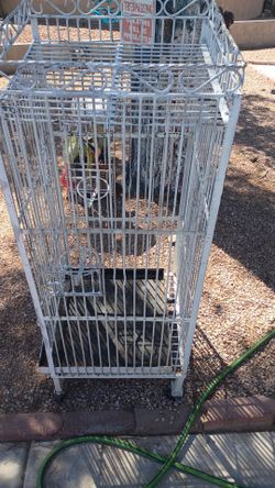 Bird cage/Jaula de pajaros