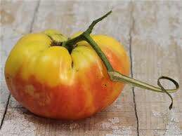 Organic starter plants and non gmo seeds