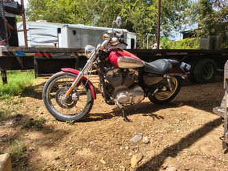 2004 883 Custom Harley