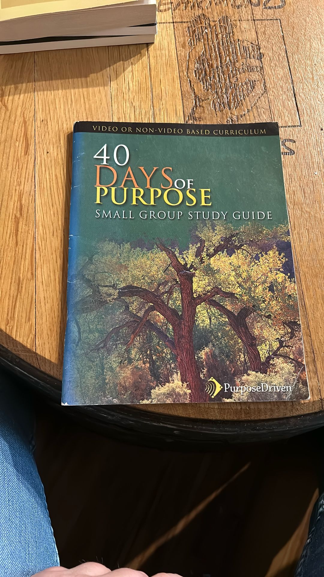 40 Days Of Purpose - Small Group Stay Guide
