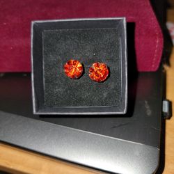 Stainless Steel Ruby Earrings 