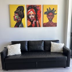 Sleeper Sofa
