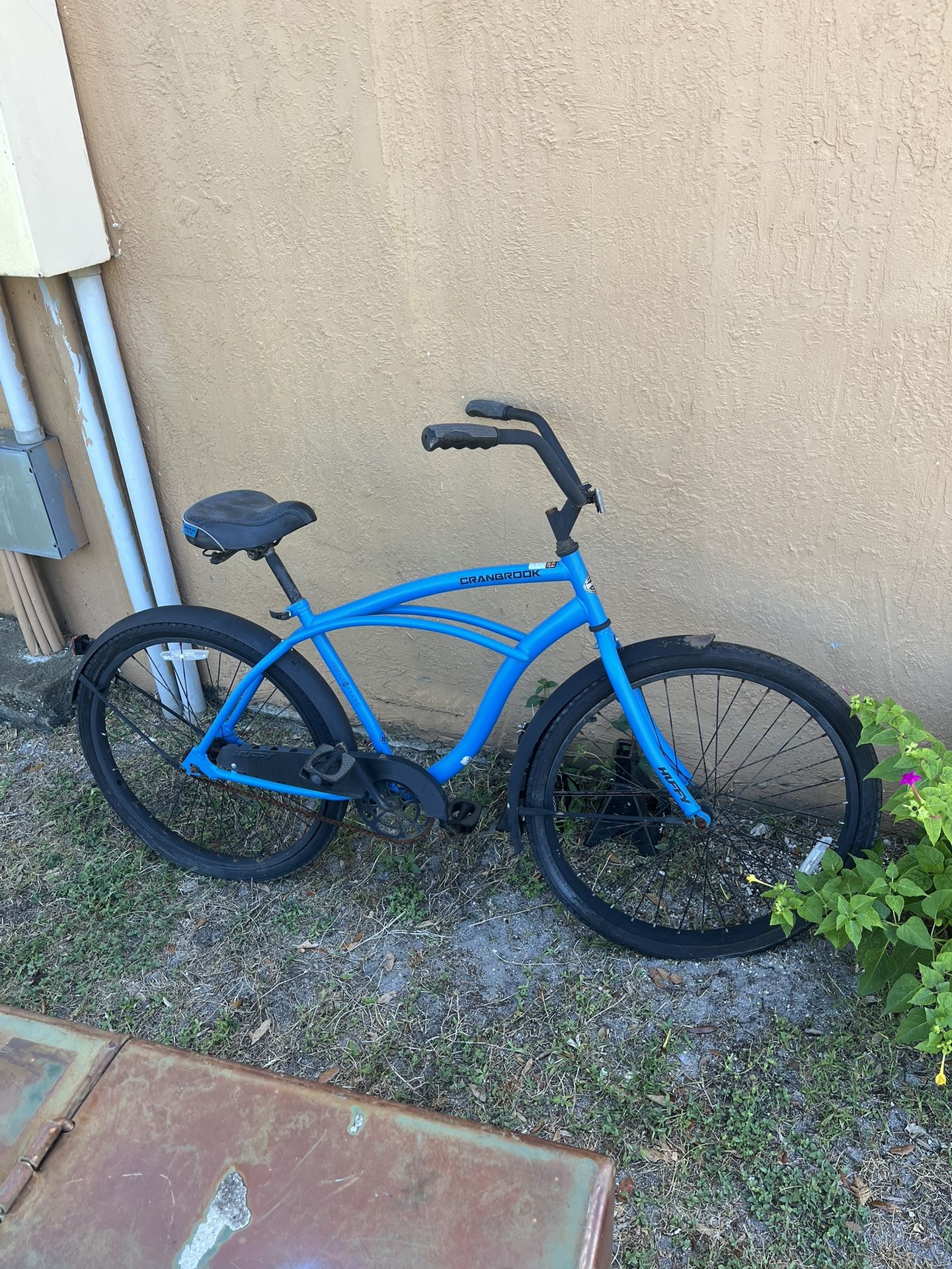 Beach Cruiser Used