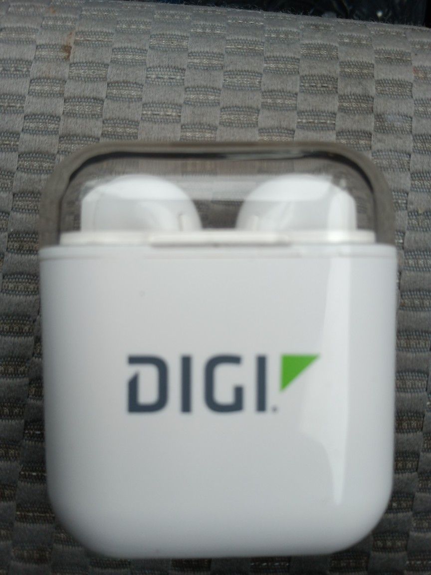 DI GI earbuds. 