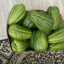 Chayotes Organic $2.5 Each 5 Inches 