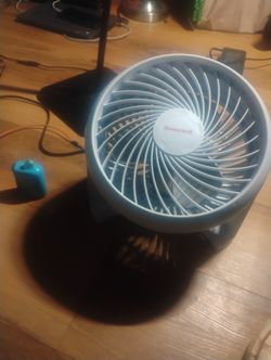 Fan
