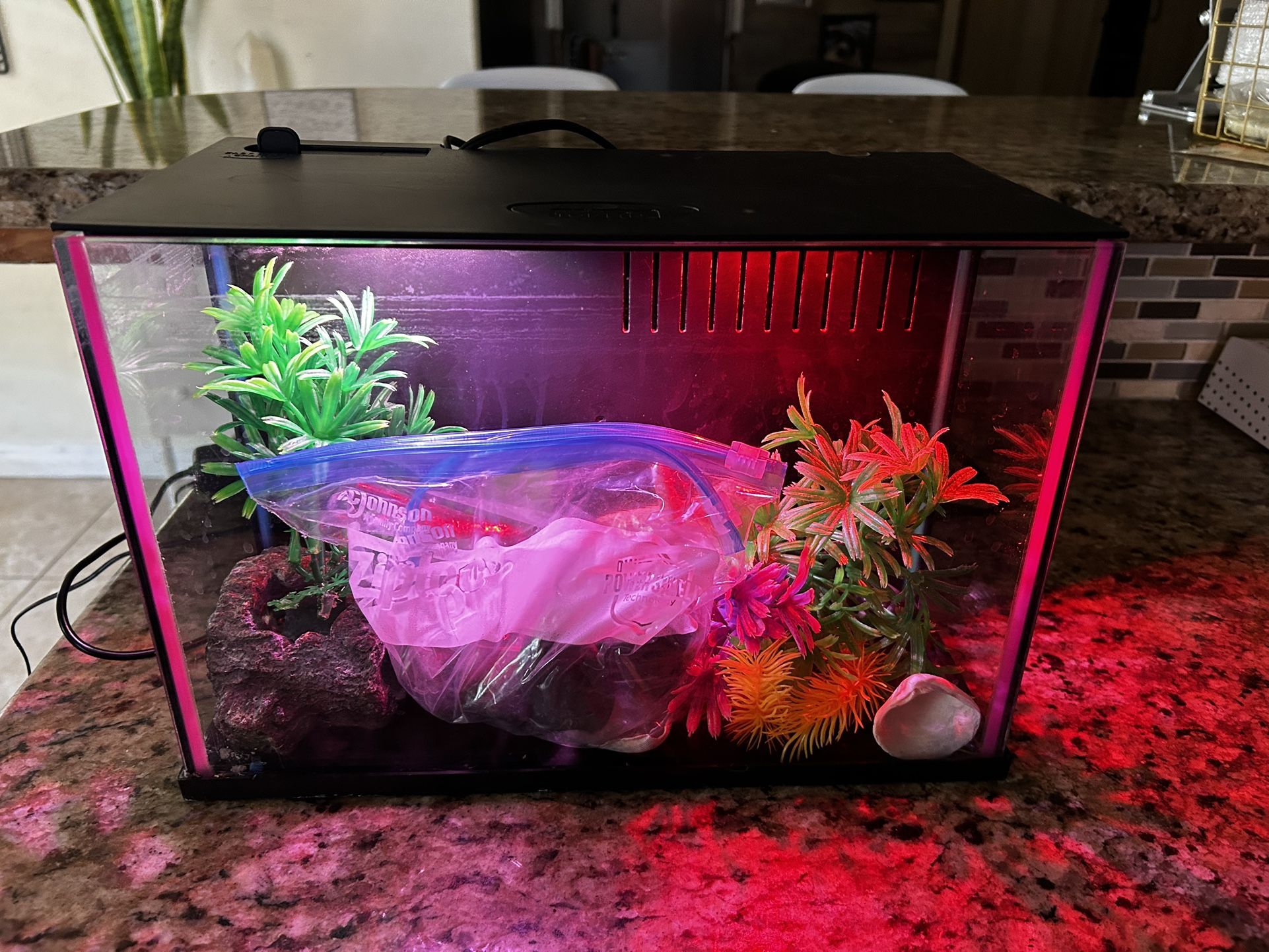 Fish Tank