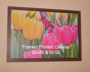 Framed canvas