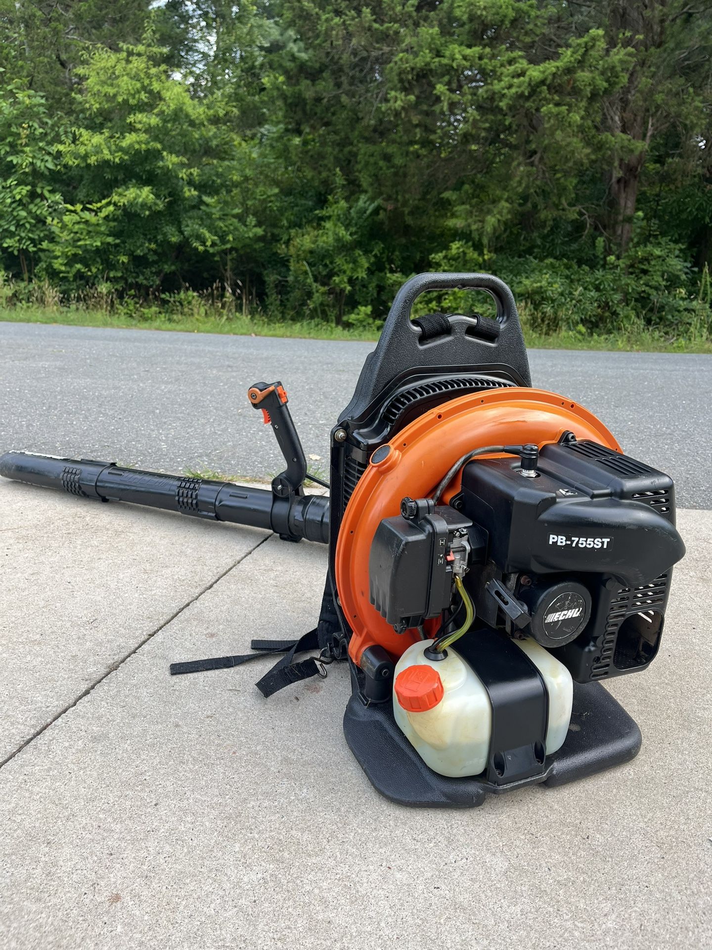 Echo Backpack Blower