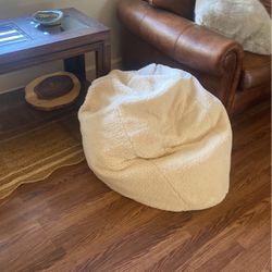 Faux Fur Bean Bag Chair -Pottery Barn Teen