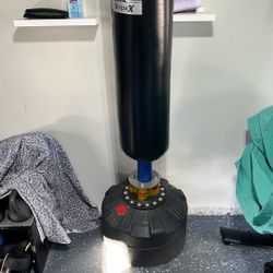 Punching Bag With Gloves