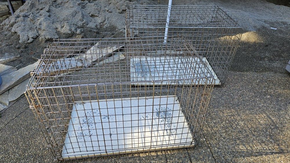 Cages