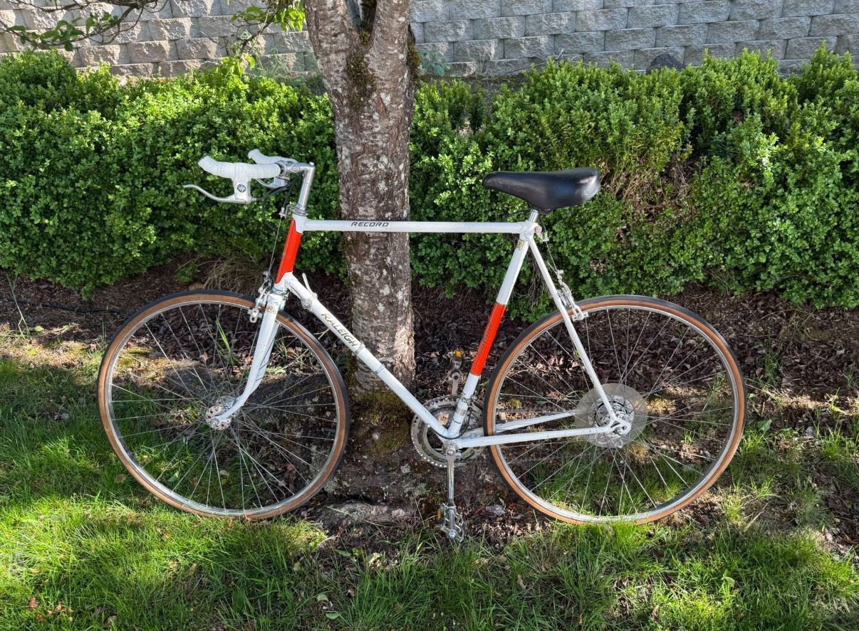Raleigh Road Bike