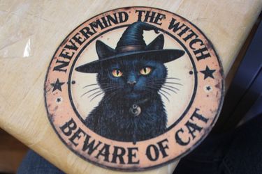 Nevermind the Witch 6" Round Wood Sign