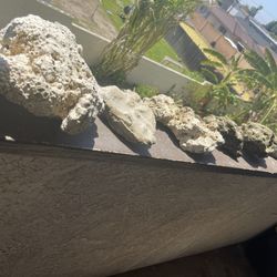       50 GALLON  FISH TANK 