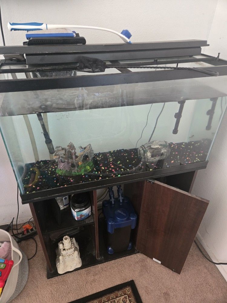 Fish Tank