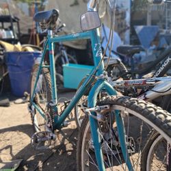 DIAMONDBACK LARGE MTB BIKE (TEAL)