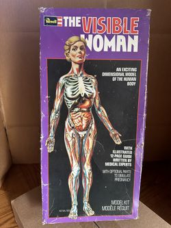 1977 Revell “The Visible Woman” 15” Vintage Collector Model Kit 