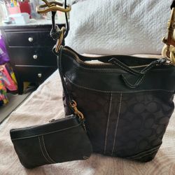 Coach Bag Set