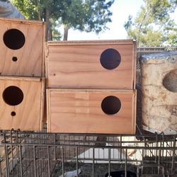 Nest boxs