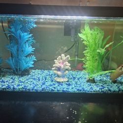 Fish Tank And Accessories 