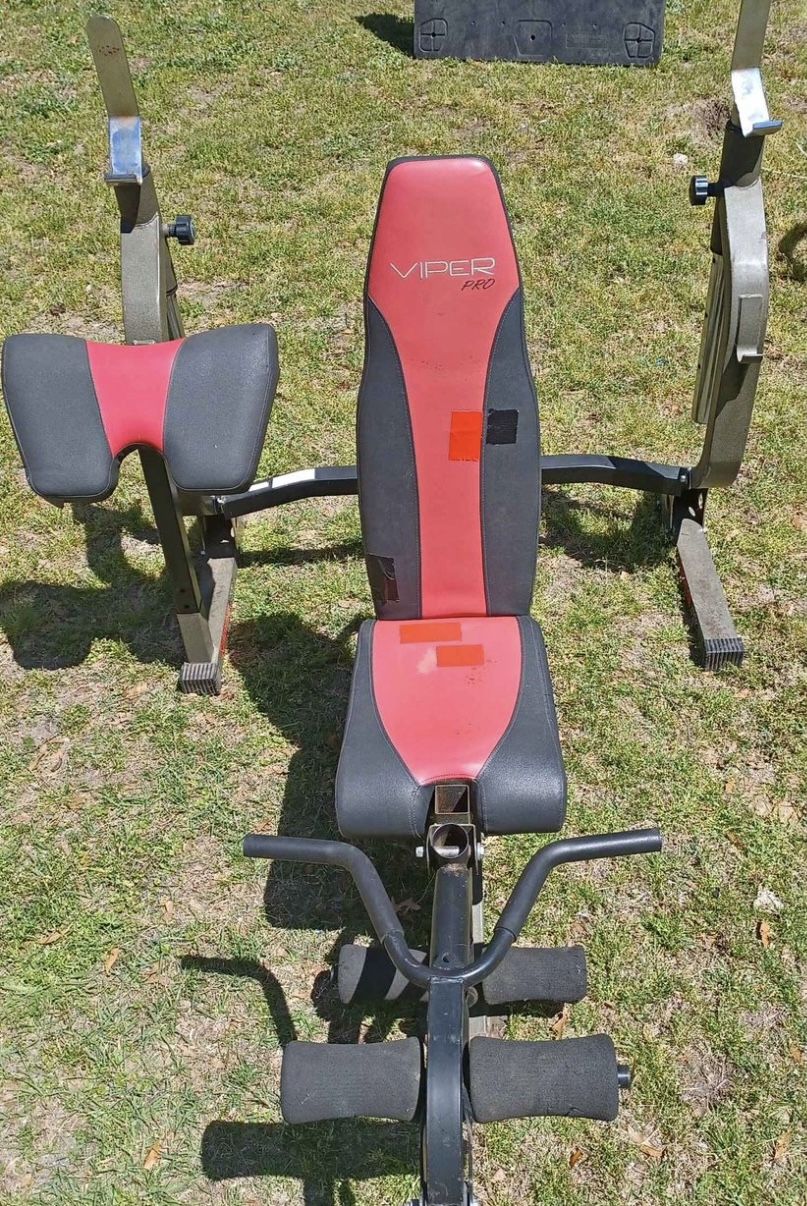 Viper Weight Bench