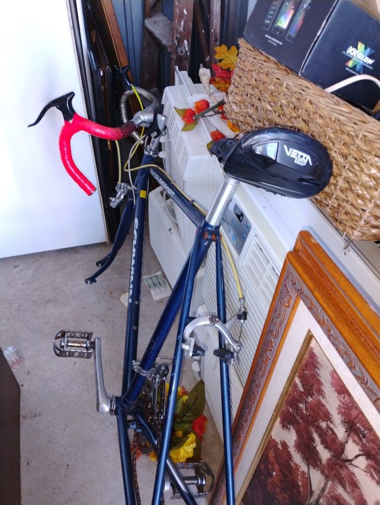 Schwinn World tour