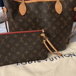 Louis Vuitton Bag (authentic)