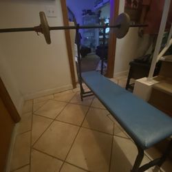 Chest And Arms Bench