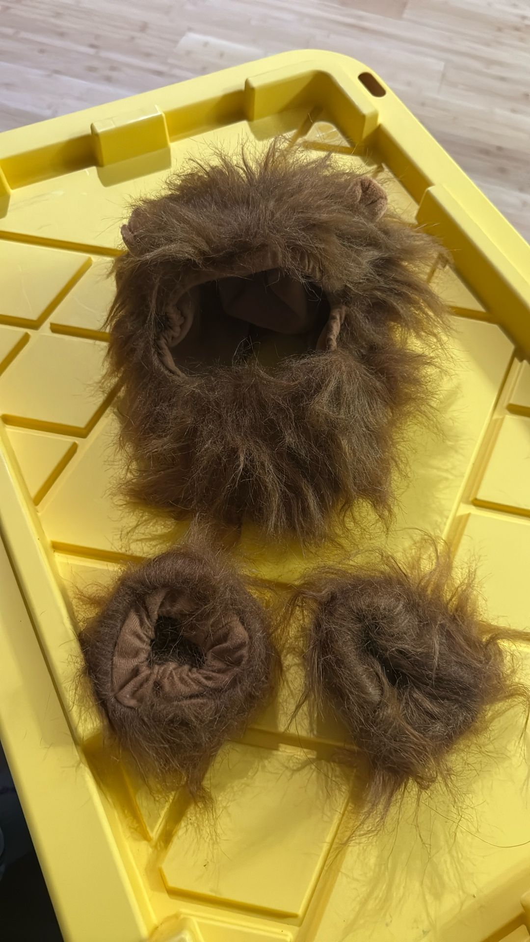Dog Costume