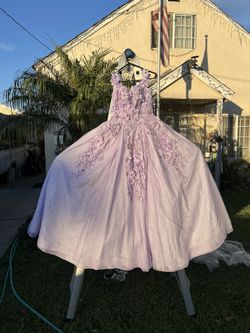 Quinceanera Sweet 16 Gown And Petti Coat