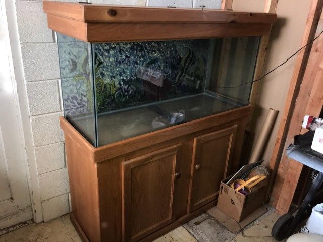 80 gallon fish tank with stand and top.