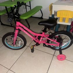 Little Girls Bicycle 