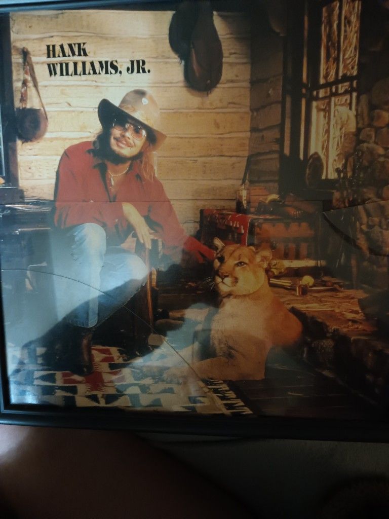 Hank Williams Jr Picture 