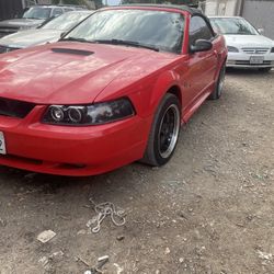 2000 Ford Mustang