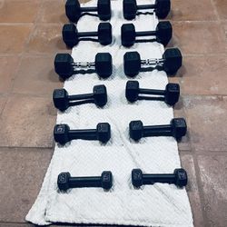  Weights Dumbbells 