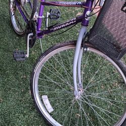 Titanium Murray Bike