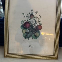 Beautiful Framed Picture 