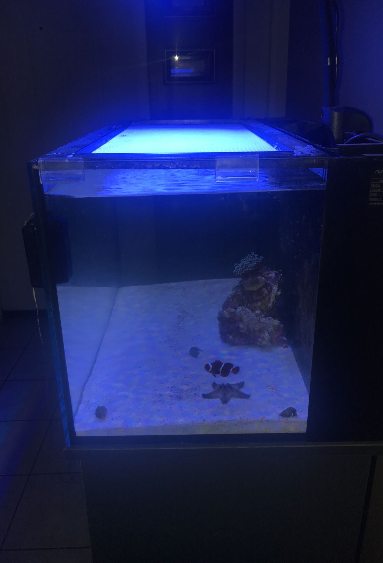 Salt water self cleaning fish tank and UV light and stand