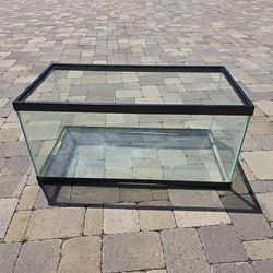 Terrarium