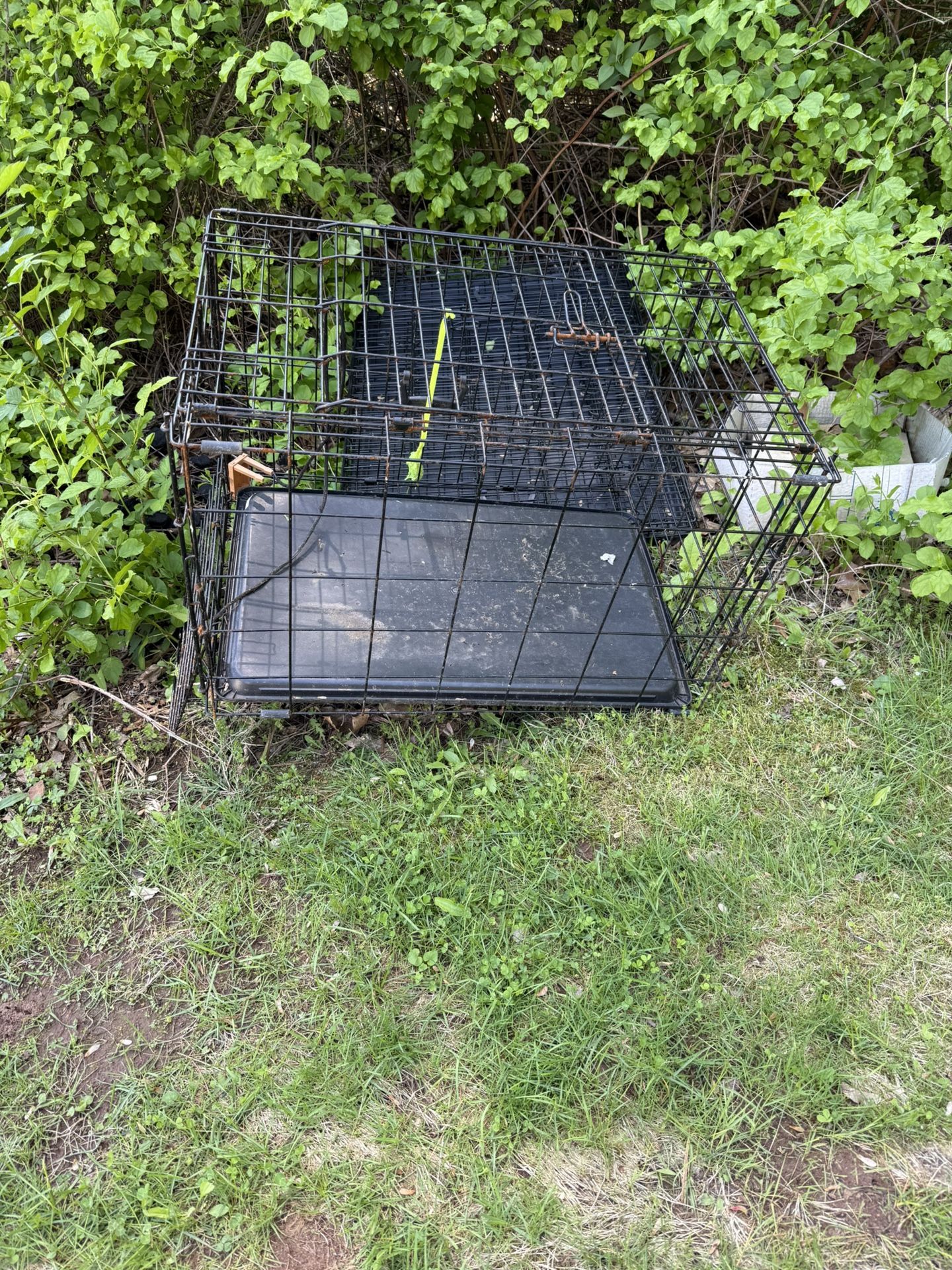 Free dog cage 30x21x19H