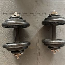 Dumbbells.           65 Dollars 