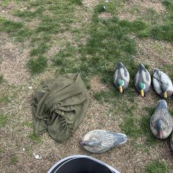 Assorted decoys without line and weights