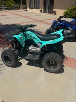 Yamaha Raptor 110
