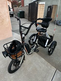 Rad power electric trike